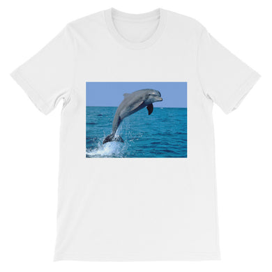 Dolphin t-shirt