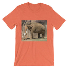 Endangered Species t-shirt