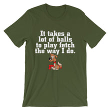 It Takes a Lot of Balls to Play Fetch t-shirt
