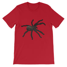 Tarantula t-shirt