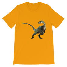 Dinosaur t-shirt