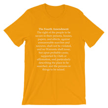 Fourth Amendment t-shirt