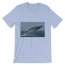 Endangered Species t-shirt