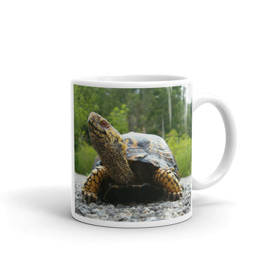 Turtle Mug
