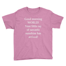 Your Little Ray of Sarcastic Sunshine Youth Short Sleeve T-Shirt