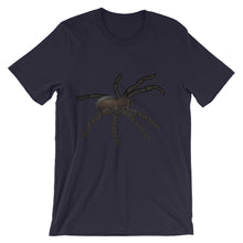 Tarantula t-shirt