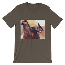 Dog with glasses t-shirt