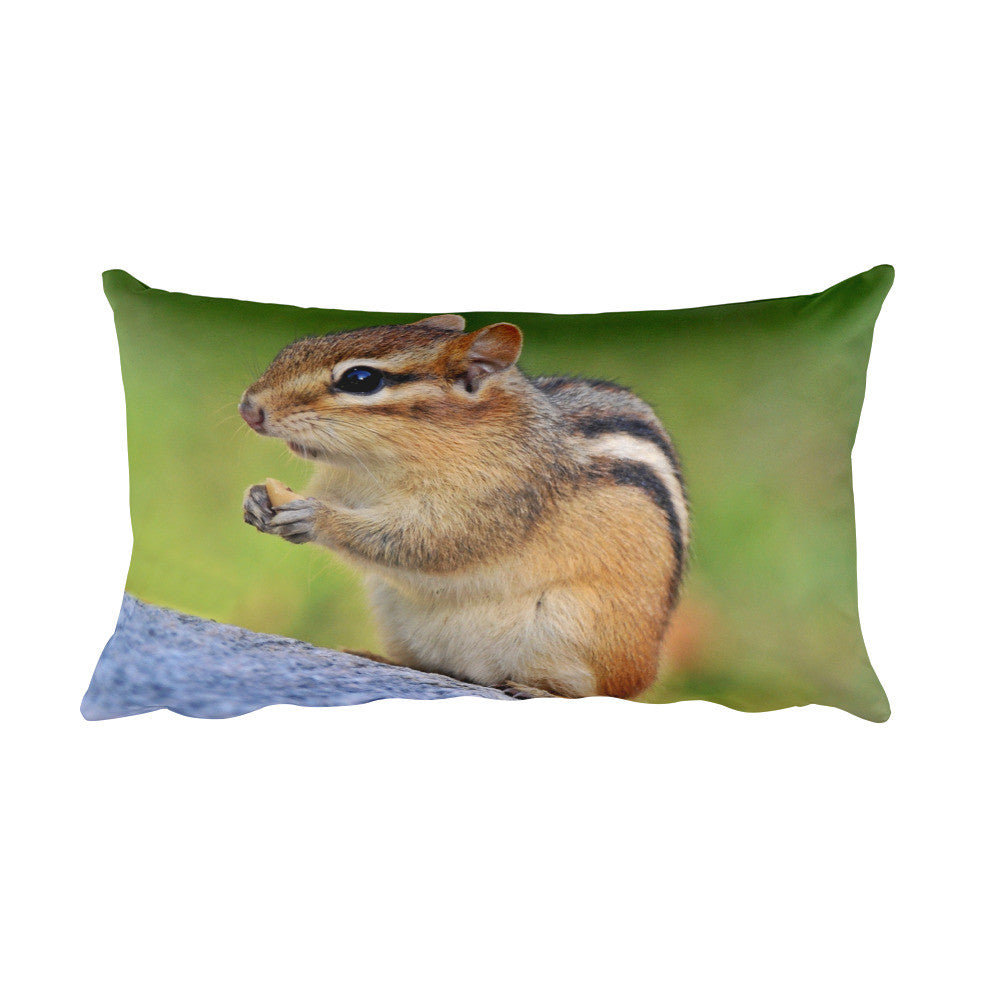 Chipmunk Pillow