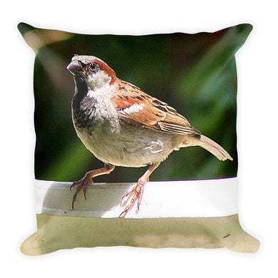 Sparrow Pillow