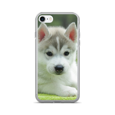 Husky Puppy iPhone 7/7 Plus Case