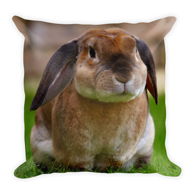 Bunny Pillow