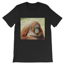 Endangered Species t-shirt