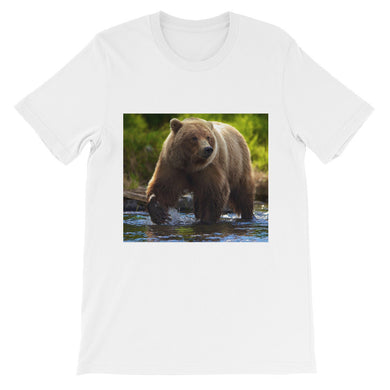 Bear t-shirt