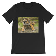 Endangered Species t-shirt