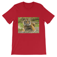 Endangered Species t-shirt