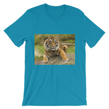 Endangered Species t-shirt