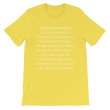 Seventh Amendment t-shirt