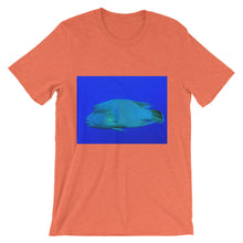 Endangered Species t-shirt