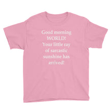 Your Little Ray of Sarcastic Sunshine Youth Short Sleeve T-Shirt