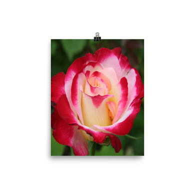 Flower poster