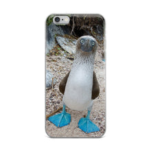 Blue-Footed Booby iPhone 5/5s/Se, 6/6s, 6/6s Plus Case