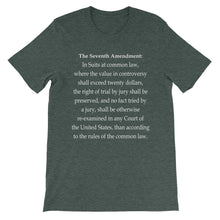 Seventh Amendment t-shirt