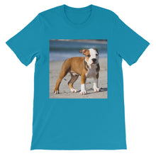 Dog t-shirt