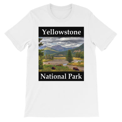 Yellowstone t-shirt