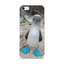 Blue-Footed Booby iPhone 5/5s/Se, 6/6s, 6/6s Plus Case