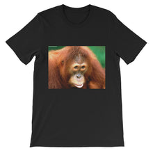 Endangered Species t-shirt