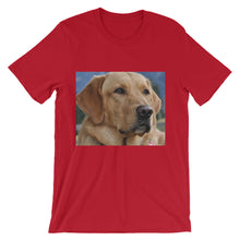Dog t-shirt