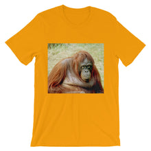 Endangered Species t-shirt