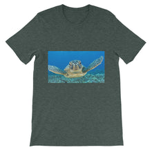 Turtle t-shirt