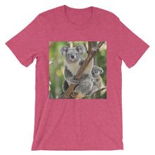 Koala t-shirt