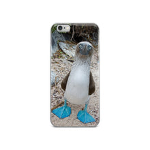 Blue-Footed Booby iPhone 5/5s/Se, 6/6s, 6/6s Plus Case