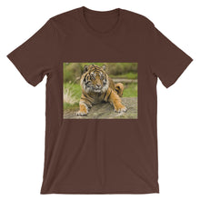 Endangered Species t-shirt