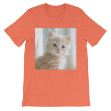 Kitten t-shirt