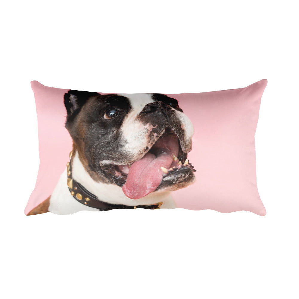 Boxer Pillow