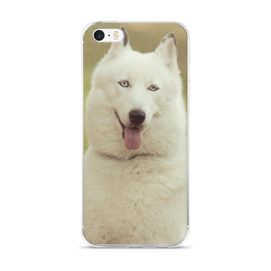 Dog iPhone 5/5s/Se, 6/6s, 6/6s Plus Case
