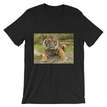 Endangered Species t-shirt