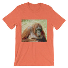 Endangered Species t-shirt