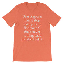 Dear Algebra t-shirt