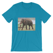 Endangered Species t-shirt