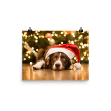 Christmas Dog poster