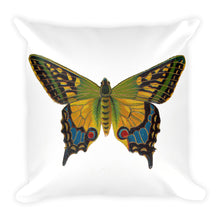 Butterfly Pillow