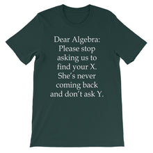 Dear Algebra t-shirt