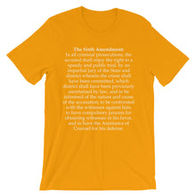 Sixth Amendment t-shirt