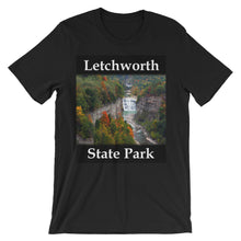 Letchworth t-shirt