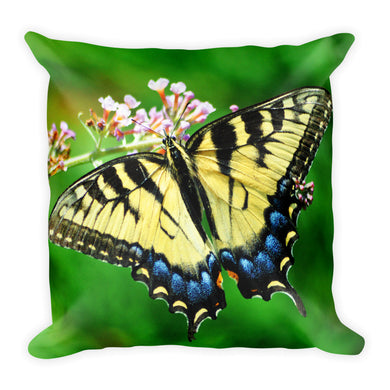 Butterfly Pillow