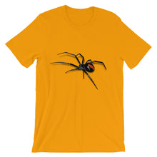 Black Widow Spider t-shirt